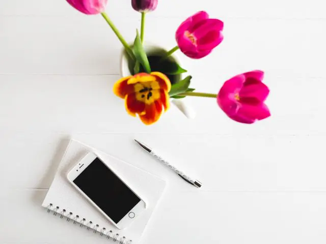 会いたいと言われた時・連絡先を聞かれた時の断り方まとめ。【メールレディ・チャットレディ】6